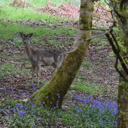 Slieve Bloom * Mountrath