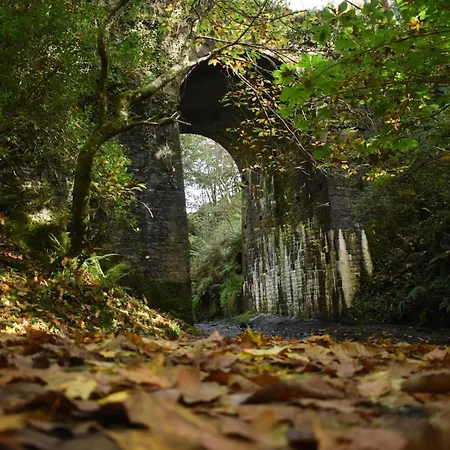 Slieve Bloom